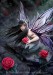 rose_fairy_by_anne_stokes